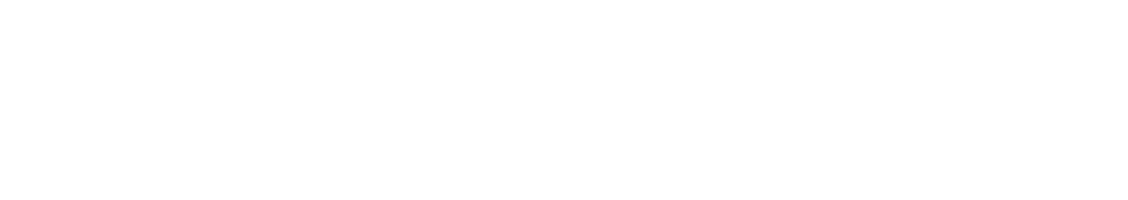 AAF Flanders Logo