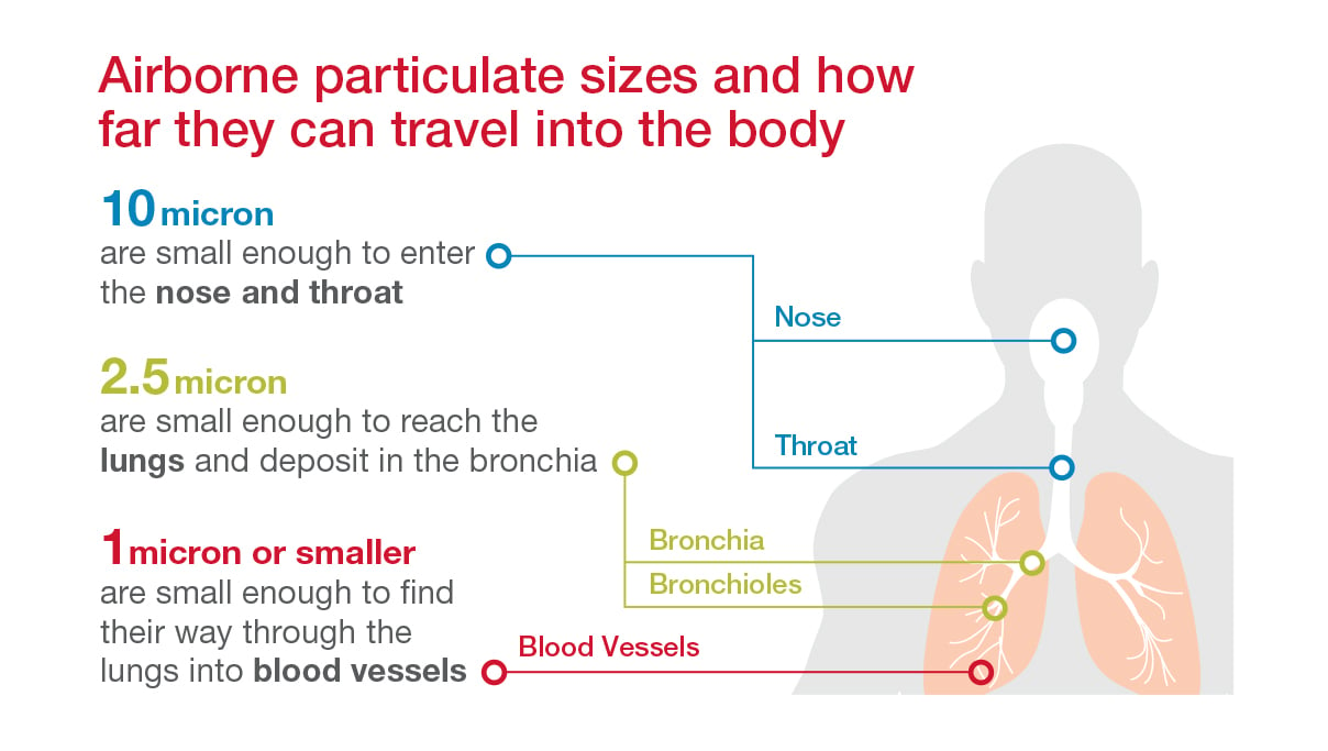 Particulate_Size_Deposit_Body_BLG