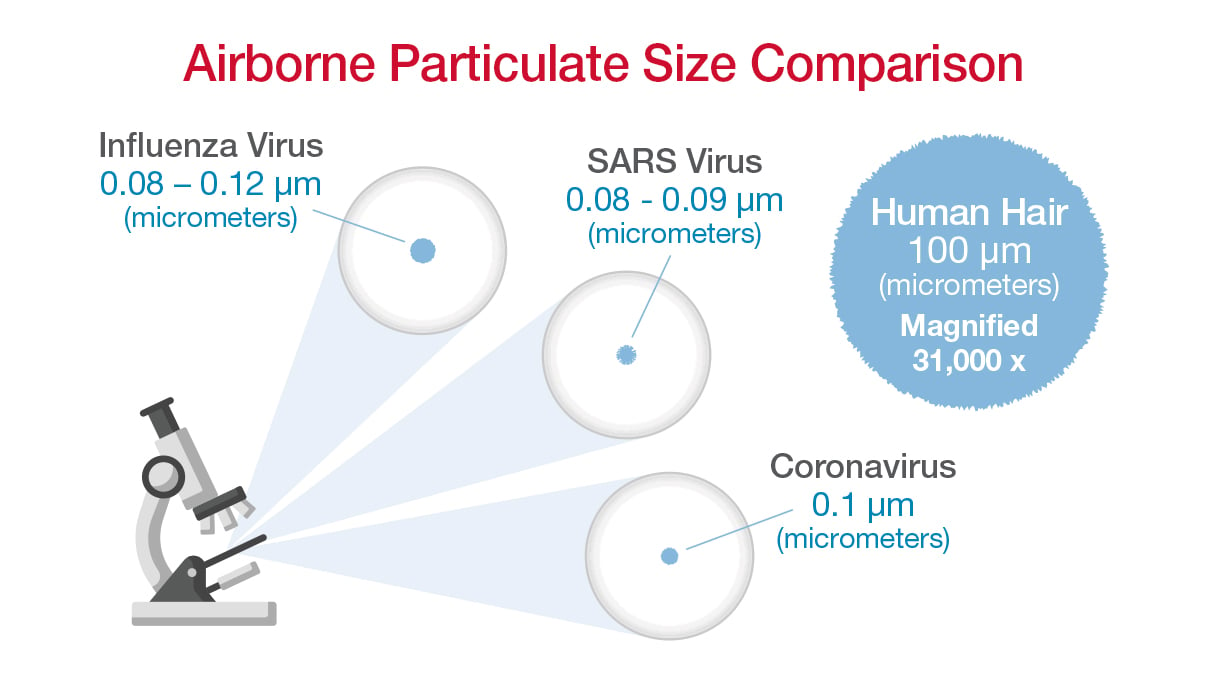 Particulate_Size_compare_BLG