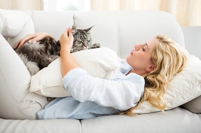 Cats and pets can contribute to IAQ.